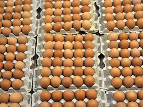 New dioxin findings in eggs cause alarm
